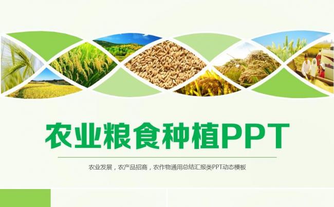 绿色科技有机农业种植ppt新农村粮食作物生产丰收PPT缩略图