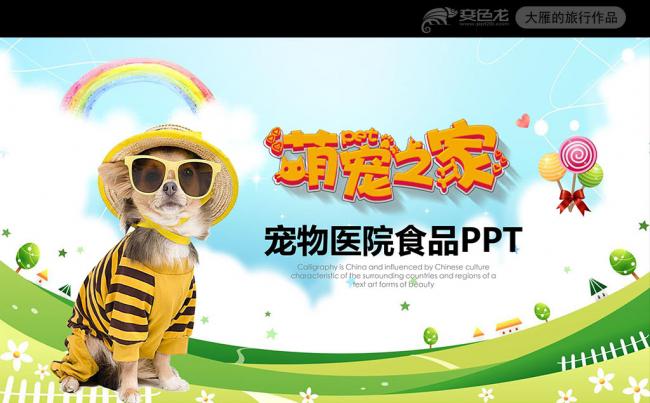 宠物狗宠物医院宠物食品PPT模板缩略图