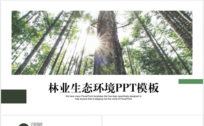 参天大树林业生态环境ppt动态模板缩略图