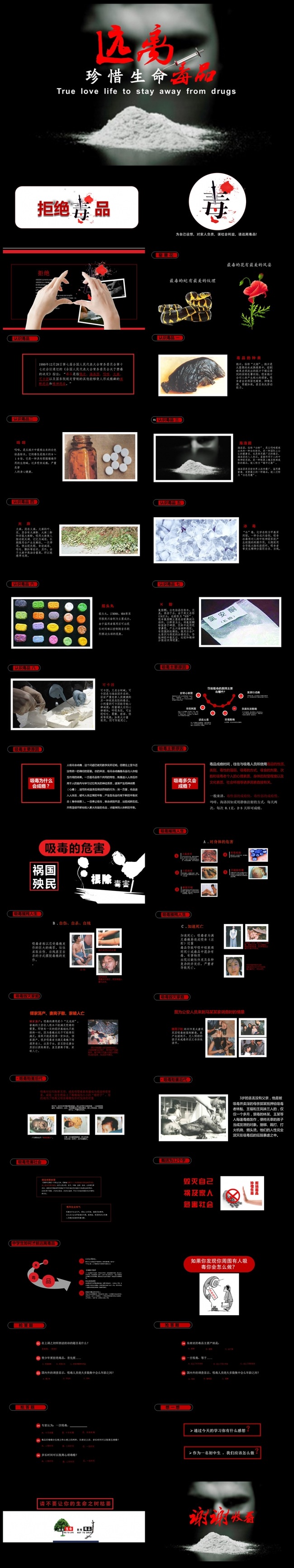 禁毒委员会禁毒宣传反毒品日PPT素材下载