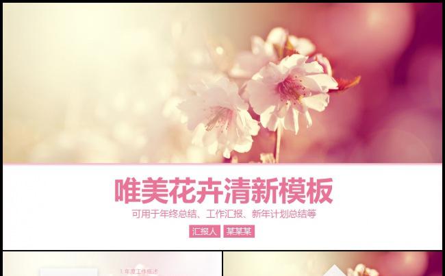 唯美精细工作总结汇报2017工作计划月度季度企业简介缩略图