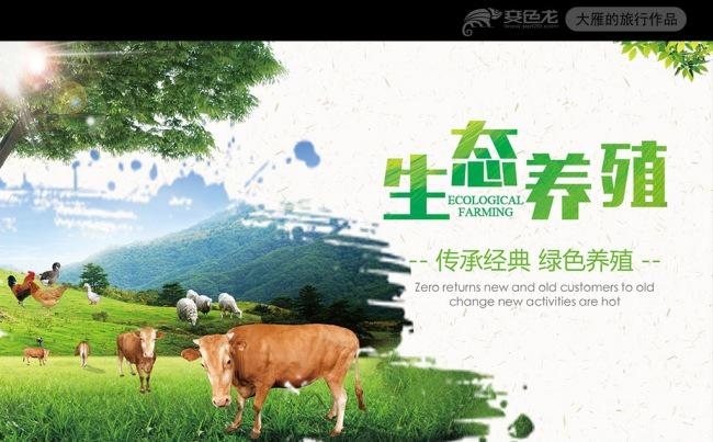 绿色生态养殖业牛养猪鸡畜牧业PPT模板缩略图