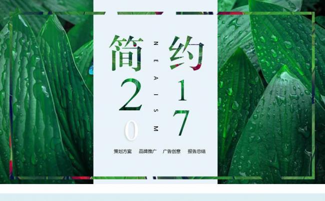【赢在细节】高端清新2017绿色工作报告PPT模板缩略图