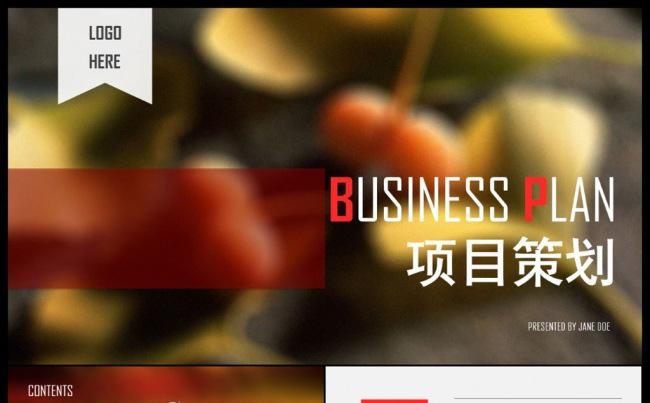 大气图文排版通用型百搭项目策划商业策划创业计划PPT模板缩略图