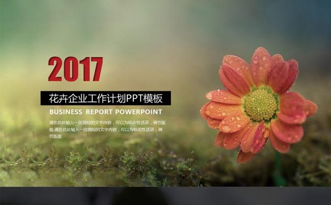 小雏菊简约商务模板工作计划个人总结年终总结缩略图