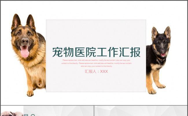 宠物医院 工作总结 汇报 宠物店总结缩略图