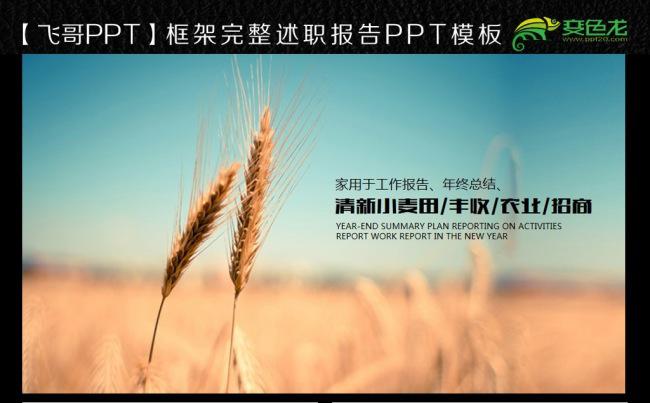 农业种植 粮食小麦农业科技 农业种植缩略图