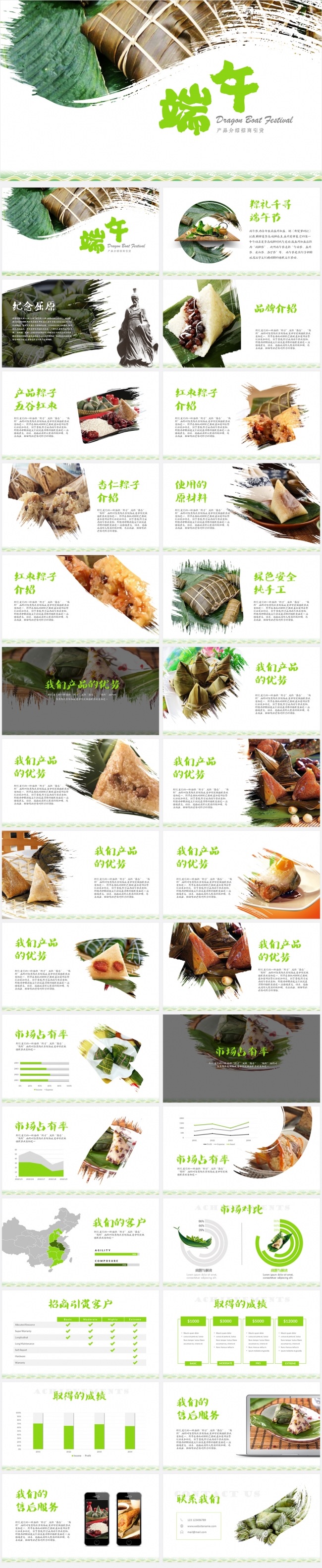 端午节产品介绍招商引资商业计划书【LY】
