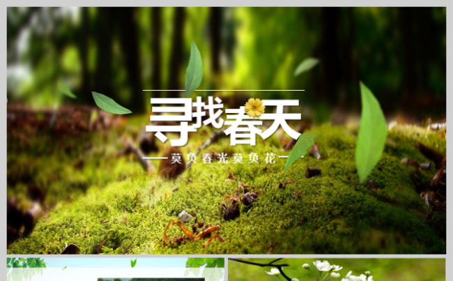 【霏羽演示】文艺唯美旅游相册旅行摄影电子相册企业宣传画册缩略图