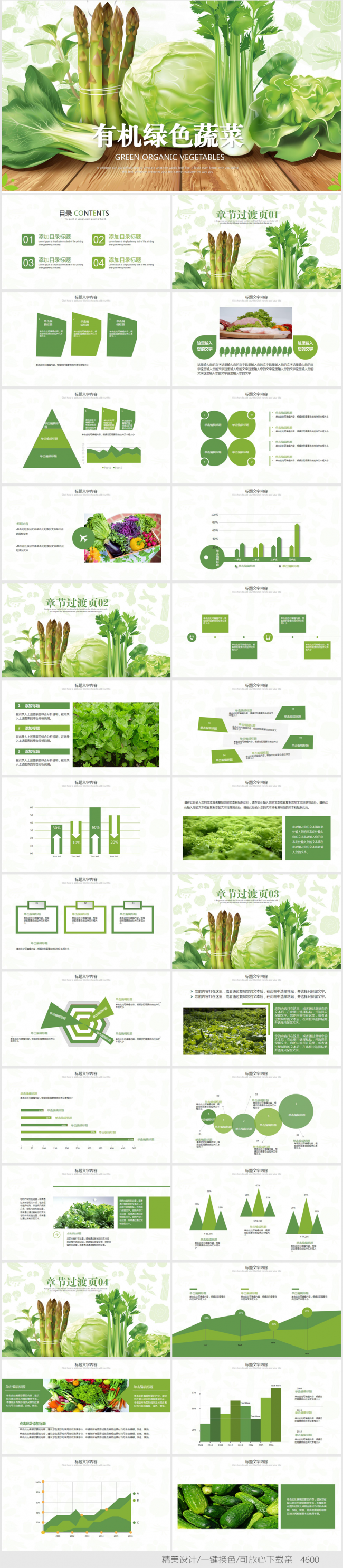 创意手绘有机蔬菜农产品种植PPT模板
