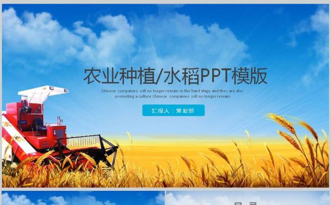 无污染农业农场庄稼水稻粮食PPT动态模板缩略图