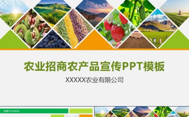 农业招商农产品宣传农作物绿色食品安全ppt模板缩略图