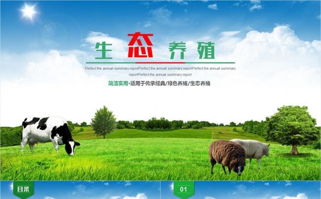 【壹德】绿色生态养殖业牛养猪鸡畜牧业PPT模板缩略图