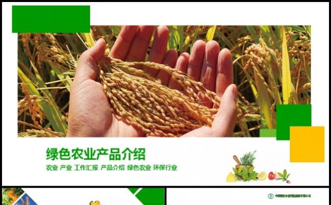 绿色农业 丰收 收获 农产品介绍缩略图