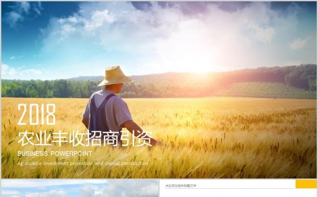 中国农业项目农村建设民生农业丰收招商引资缩略图