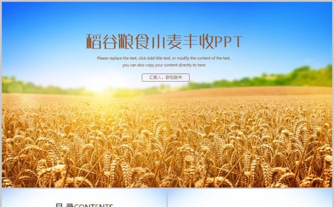 农业农产品水稻小麦粮食产品介绍PPT模板缩略图