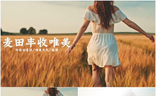 农业科技农业种植粮食小麦丰收收获ppt模板缩略图
