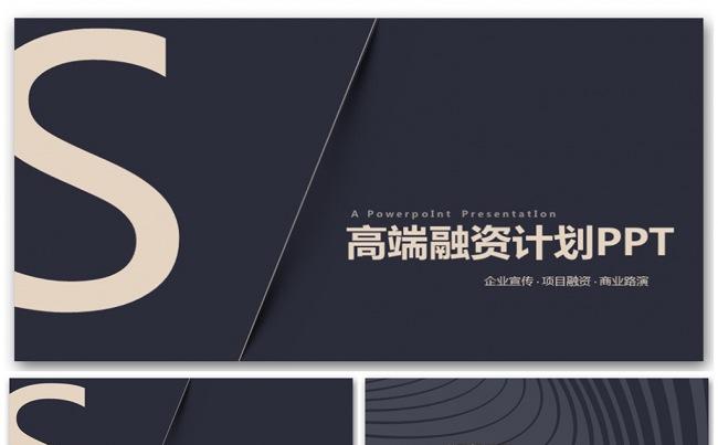 高端极致奢华创业融资计划书PPT缩略图