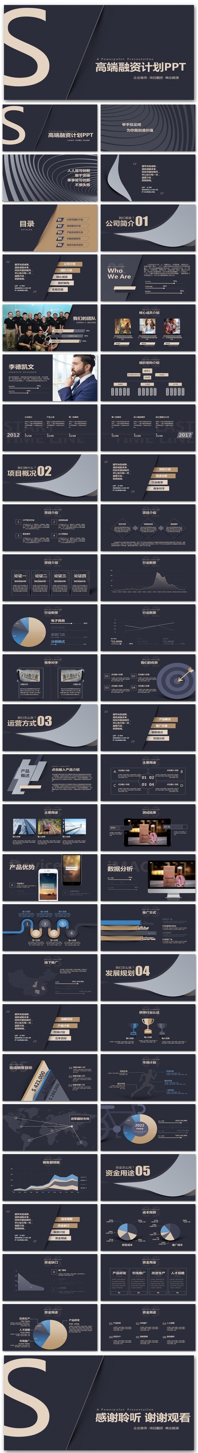 高端极致奢华创业融资计划书PPT