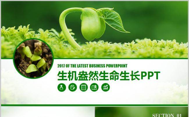 绿色农业发芽生长过程学校教育公益ppt模板缩略图