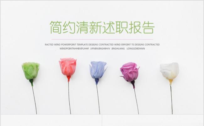 韩范清新淡雅商务通用汇报PPT模板缩略图