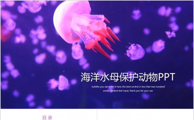 海洋水母保护动物动态PPT模板缩略图