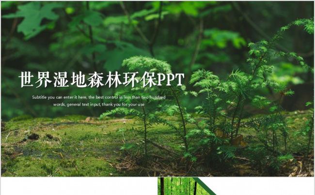 绿色环保世界湿地森林日动态PPT模板缩略图