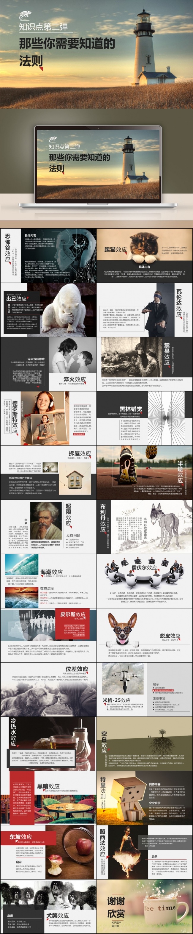 【最光阴】职场知识规律定律心灵鸡汤培训教育团队建设PPT模板