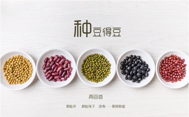 节日主题小报PPT模板缩略图