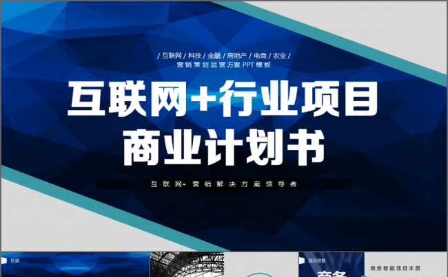 2018互联网科技行业项目招商融资商业计划书模板缩略图