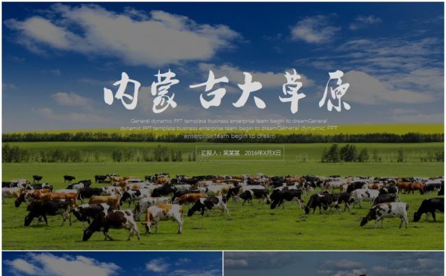 内蒙古大草原民族风情蒙古包鄂尔多斯草原畜牧业PPT模板缩略图