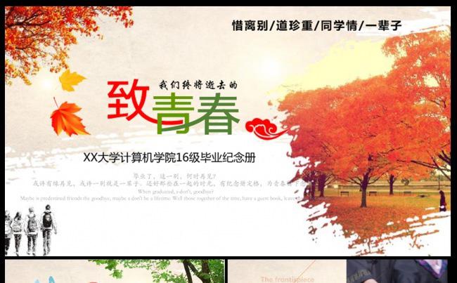 致青春毕业纪念册ppt模板缩略图