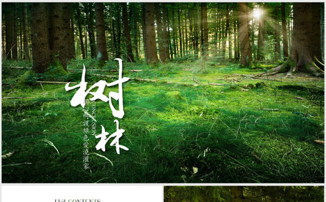 保护生态环境绿色树林ppt动态模板缩略图