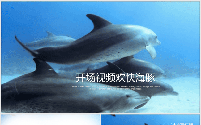 开场视频欢快游动的海豚ppt动态模板缩略图