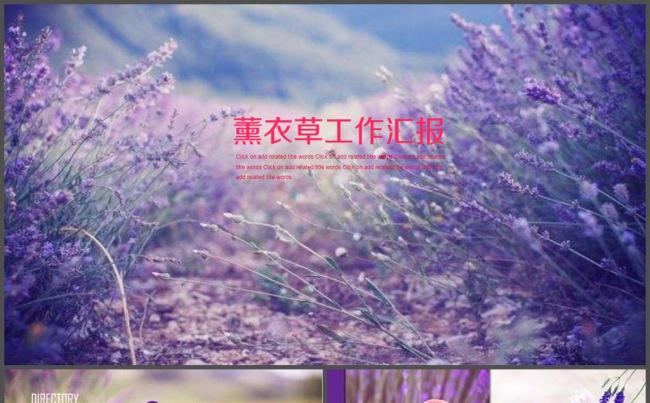 美容护肤薰衣草工作汇报PPT模板缩略图