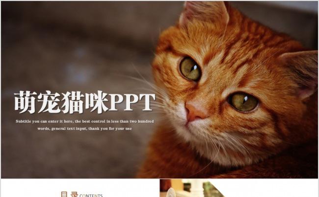 可爱猫咪宠物萌宠趣味俏皮PPT模板缩略图
