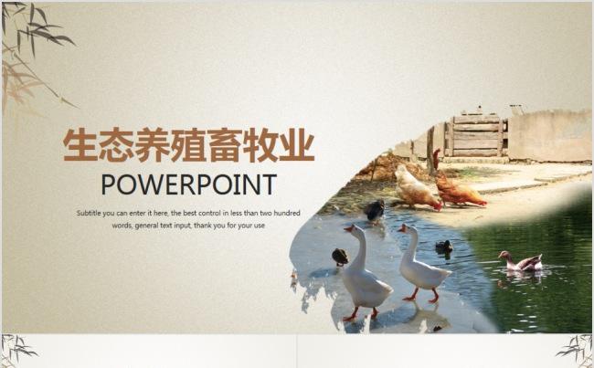 生态养殖畜牧业动态PPT模板缩略图