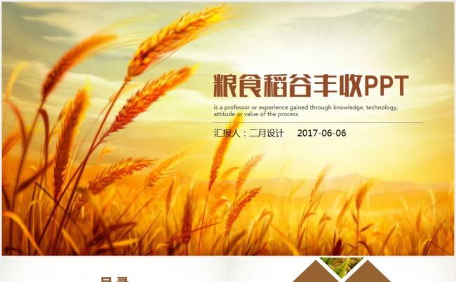 金灿灿稻谷粮食农民农业金秋丰收动态ppt缩略图