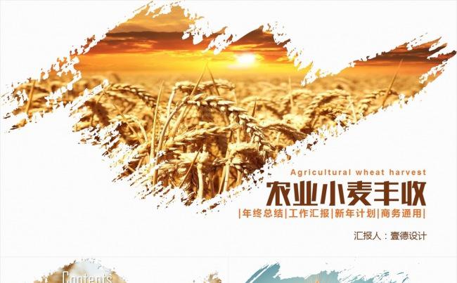 农业农产品水稻小麦粮食产品介绍PPT模板缩略图