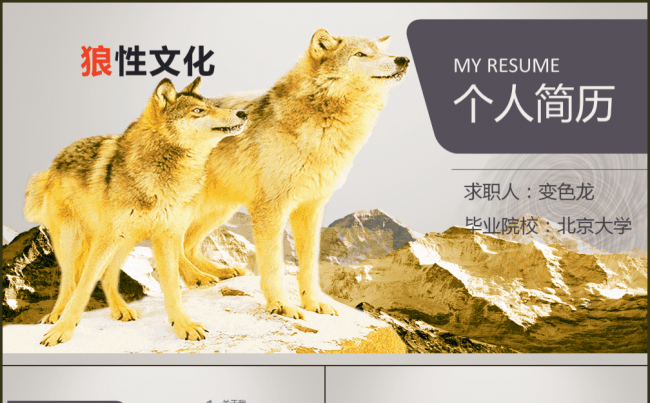 应聘简历求职简历竞聘简历狼性文化缩略图