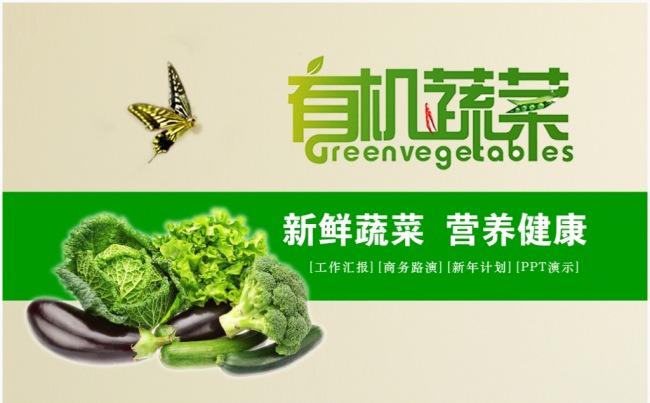 时尚创意手绘有机蔬菜农产品种植PPT模板缩略图