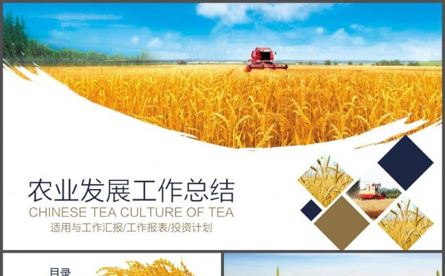 农业发展工作总结PPT模板缩略图