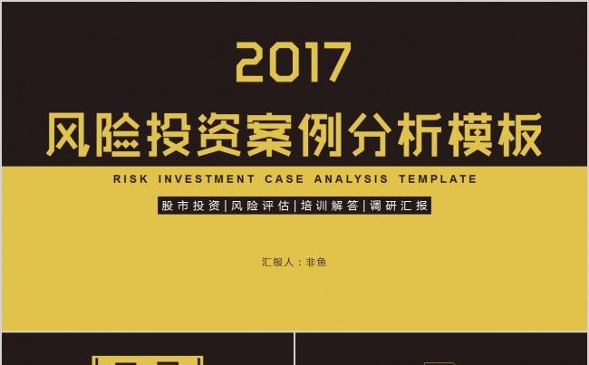 风险投资案例分析调研商务汇报总结创意模板缩略图