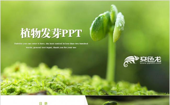 绿色小清新植物发芽生命成长课件PPT模板缩略图