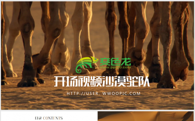 开场视频片头沙漠行舟骆驼动画ppt模板缩略图