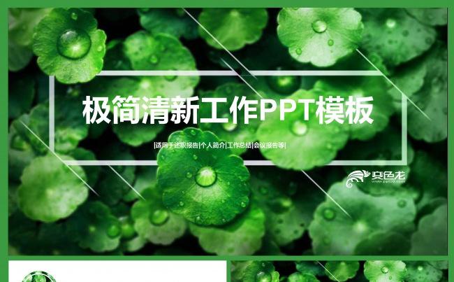 极简清新创意工作PPT模板缩略图
