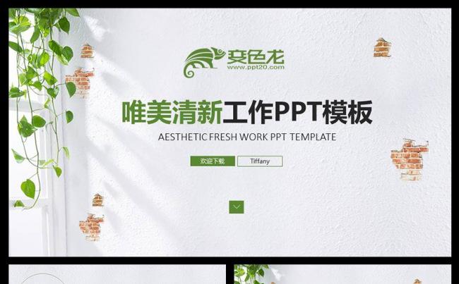 唯美小清新工作总结汇报新年计划商业计划述职报告PPT模板缩略图