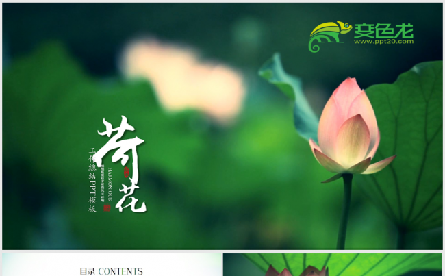 唯美荷花ppt动态模板缩略图