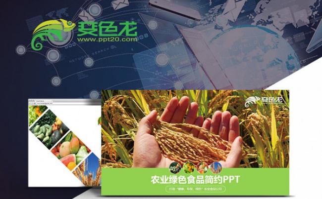 绿色生态农业招商农产品企业宣传PPT模板缩略图