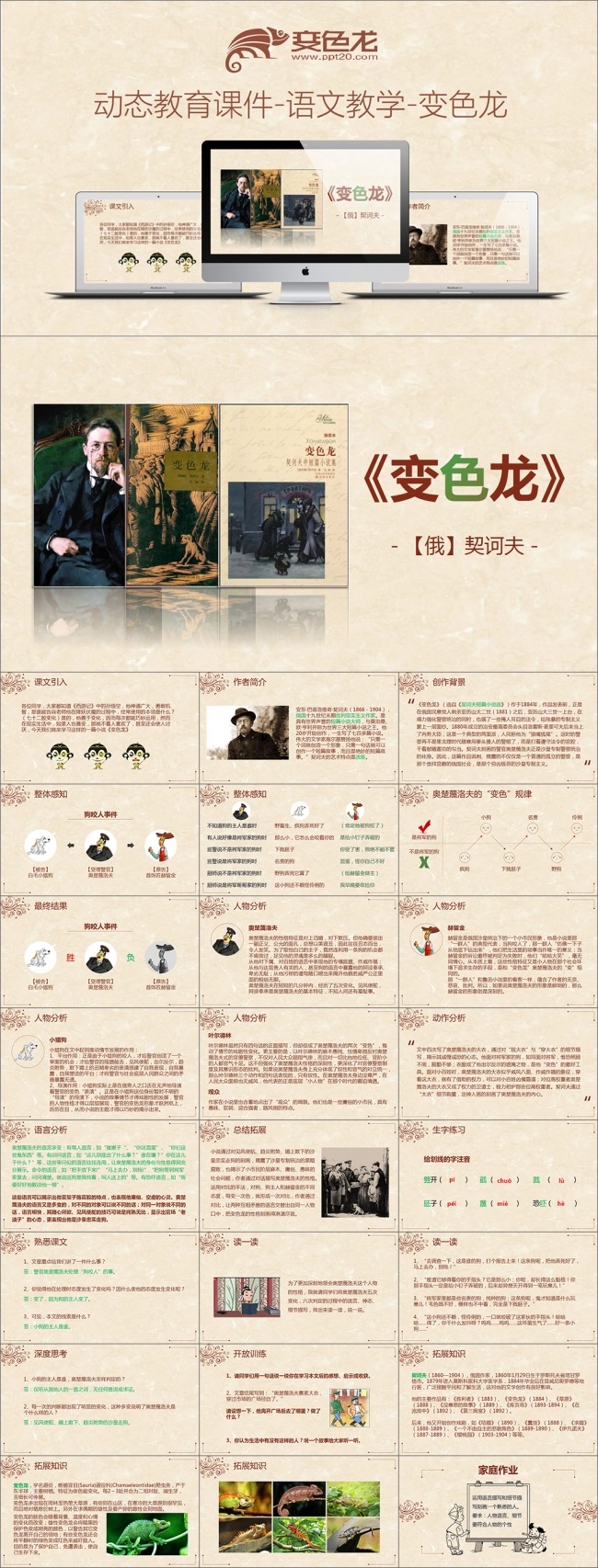 动态教育课件-语文教学-变色龙
